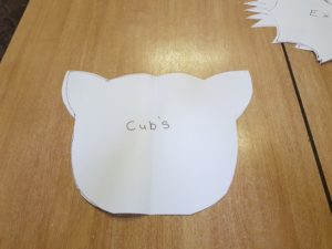 Cub_dc_challenge